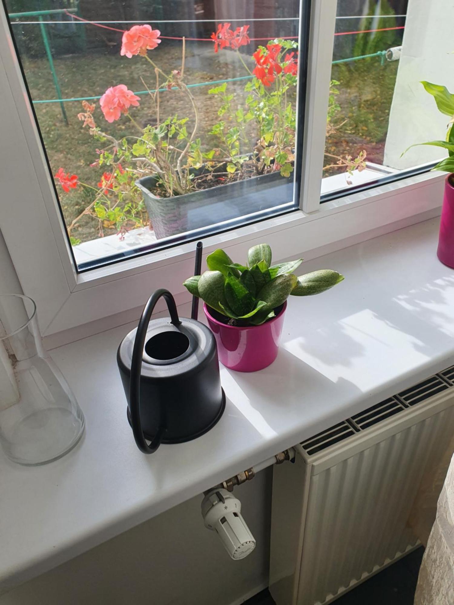 Kamienica Nowodworska 30 Apartman Bydgoszcz Szoba fotó